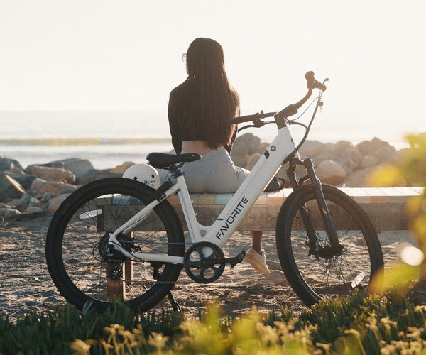 Add Trailers for Electric Bikes: Enhance Functionality and Storage Favoritebikes Add Trailers for Electric Bikes: Enhance Functionality and Storage Favoritebikes