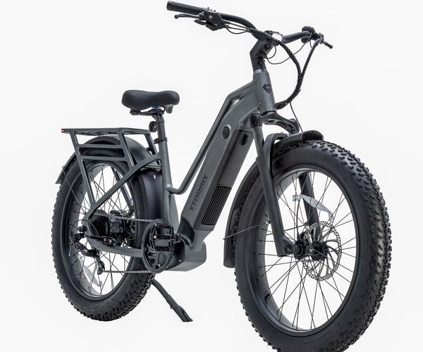 Favoritebikes StormX Fat tire Ebike Costco
