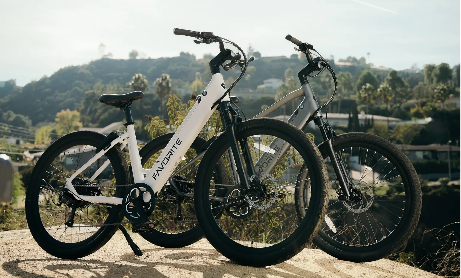 FavoriteBikes electric bikes outdoors on a scenic trail