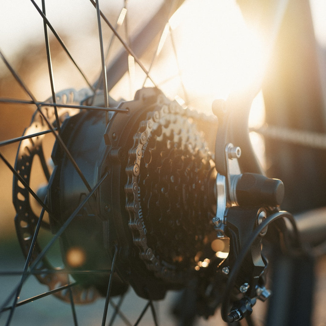 A Complete Guide to Electric Bike Motors