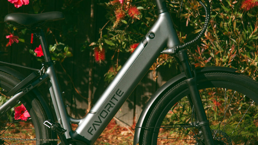 Close-up of the FAVORITE frame graphic on a silver e-bike beside red flowers
