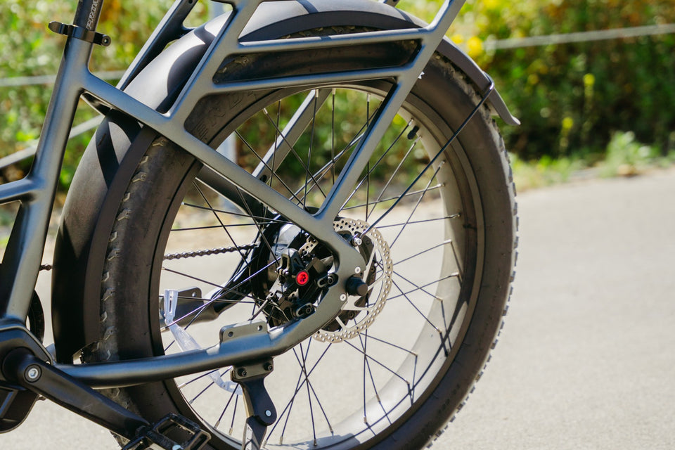 Close-up composition of a gray bicycle rear wheel, spokes and frame against a paved path and green foliage.