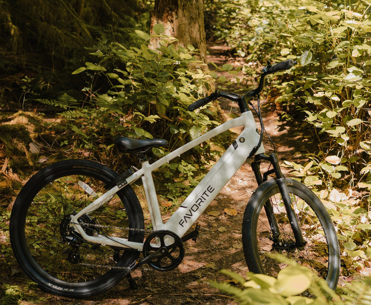 White FAVORITE bicycle parked amid sunlit leaves and ferns on a woodland path.