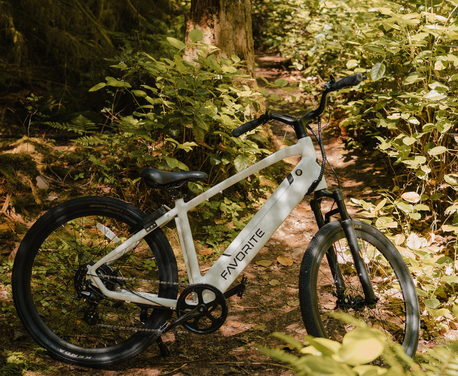 White FAVORITE bicycle parked amid sunlit leaves and ferns on a woodland path.