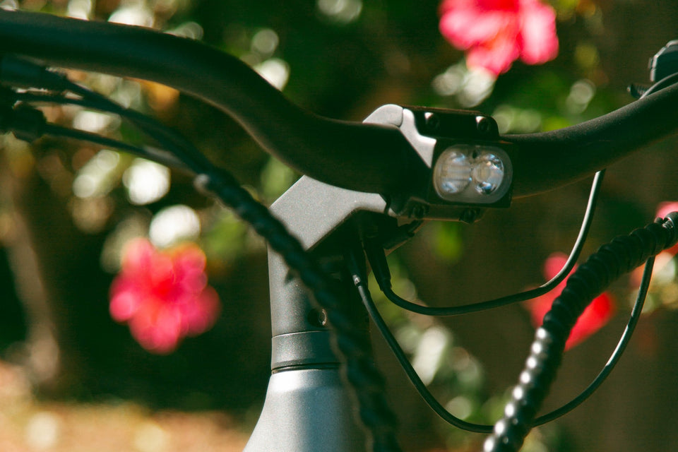 Close-up of a bicycle handlebar, stem and headlight above a grey frame, with red flowers behind.