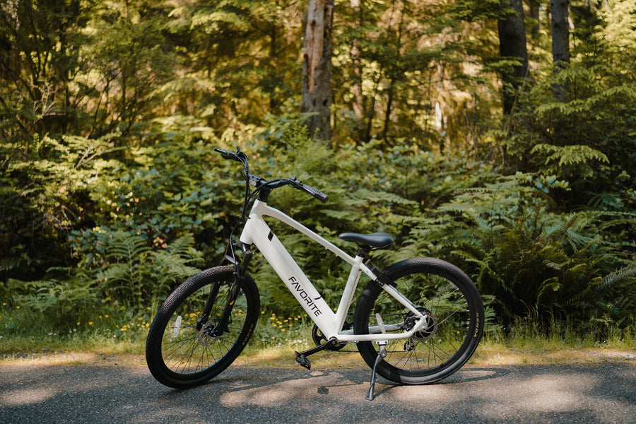 White FAVORITE bicycle with black wheels parked in front of green ferns and trees.