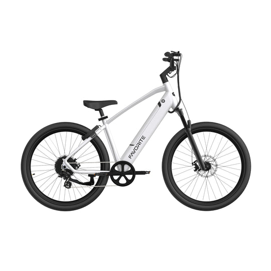 best starter bikes for adults