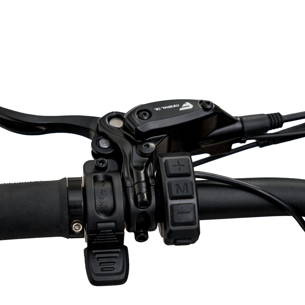 Favoritebikes