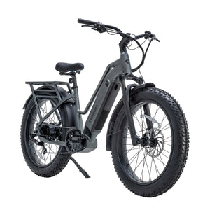 Favoritebikes StormX Fat tire Ebike Costco