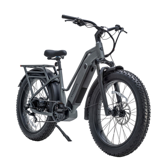 Favoritebikes StormX Fat tire Ebike Costco
